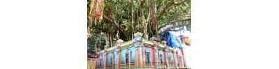 பரக்கலக்கோட்டை